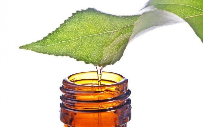 How to Use Essential Oils Properly and Conditions They Can Remedy