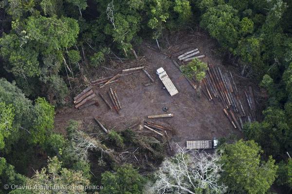 Tracking Illegal Logging Trucks in the Amazon