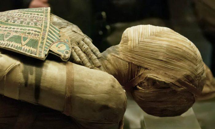 Archaeologists Find Egyptian Mummy With Peculiar Skull Containing Brain Imprint