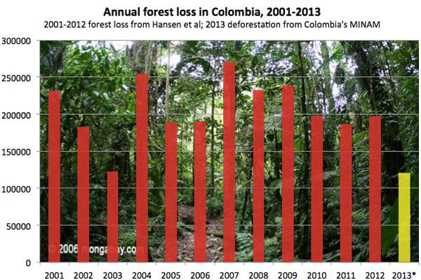 Colombia Reports Drop in Deforestation