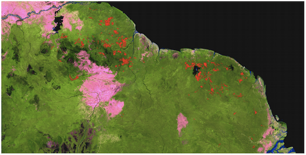Guiana Shield Threatened by Gold Mining
