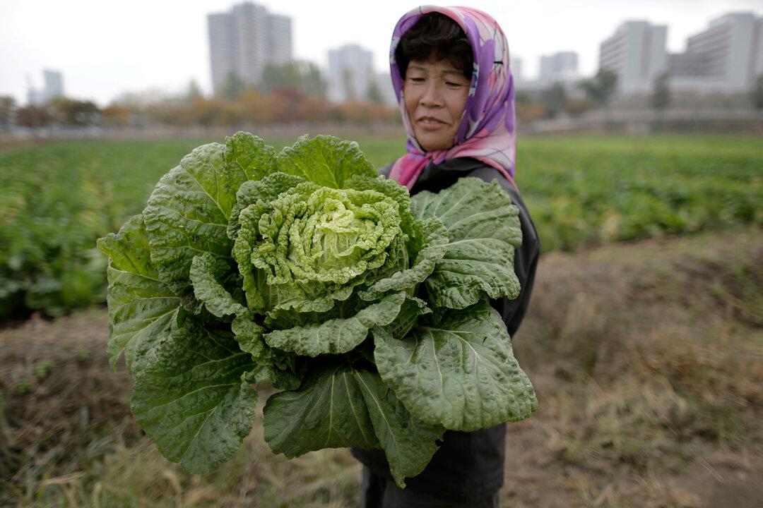 ‘World War 3’ Would Have No Effect on Population Growth, Says Study