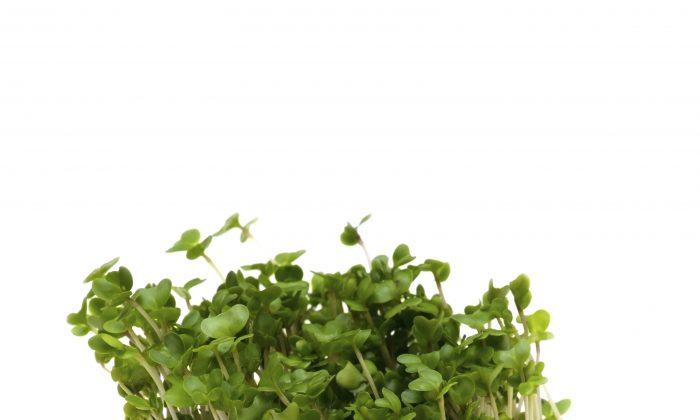 Chemical in Broccoli Sprouts May Treat Autism