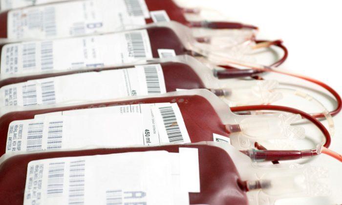 Inside the Blood Factory: What Happens to Your Donated Blood?