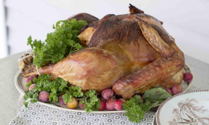 Thanksgiving Turkey Recall Hoax: Millions of Turkeys Recalled Over Avian / Bird Flu? Nope, it’s Just Satire