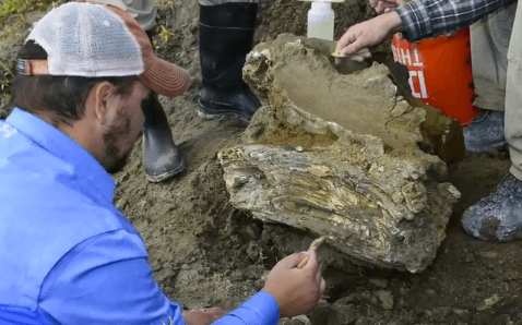 Scientists Might Have Found a Complete Mammoth Skeleton (Video)