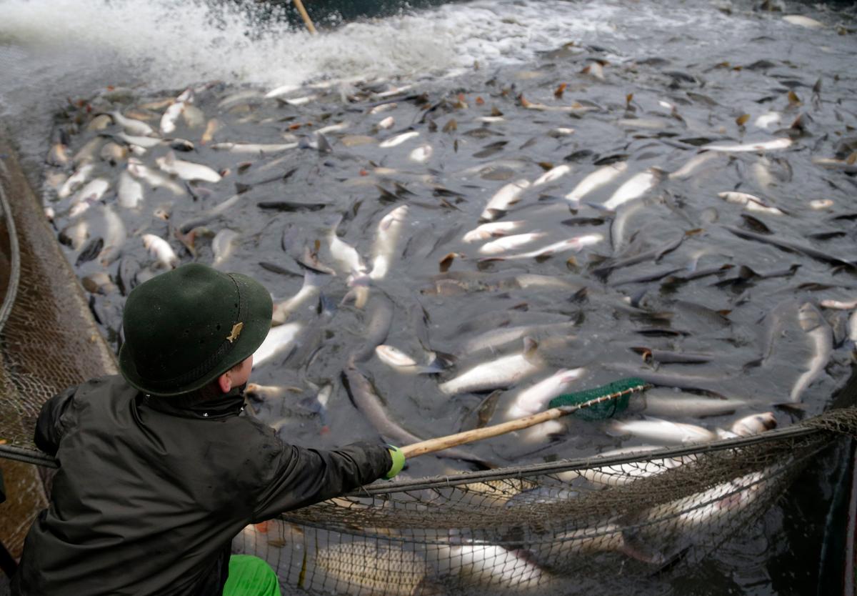 A Sustainable Approach for the World’s Fish Supply