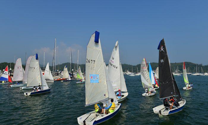 Dinghy Race at Hebe Haven Helps Charities