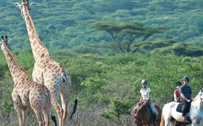 The Top 3 Horse Safaris in South Africa