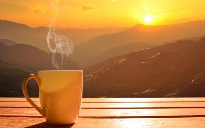 6 Morning Habits You Need to Dig Into