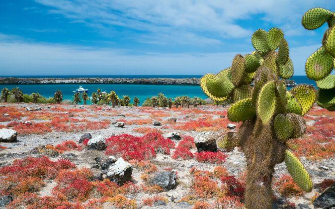 Things to See in the Galapagos Islands