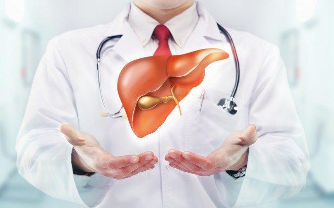 6 Bodily Tissues That Can Be Regenerated Through Nutrition