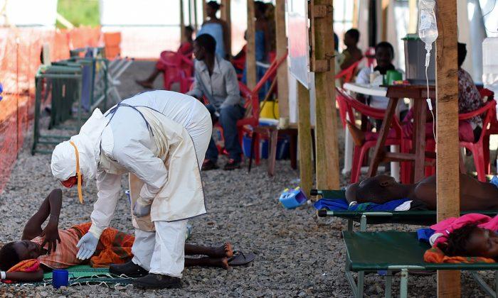 Queen Elizabeth Concerned Ebola is Overshadowing Malaria: Health Expert