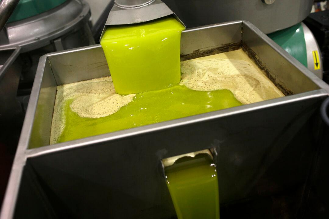 Fake Olive Oil: Is Nearly 70 Percent of Olive Oil Bunk?