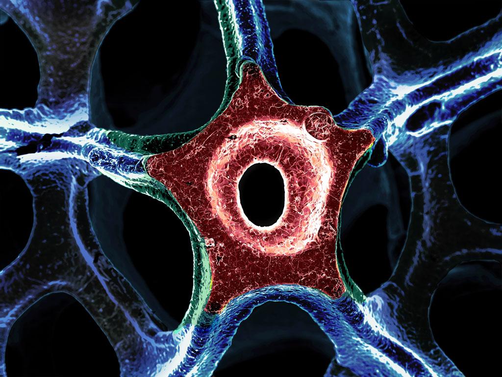 Engineering’s Unexpected and Microscopic Beauty