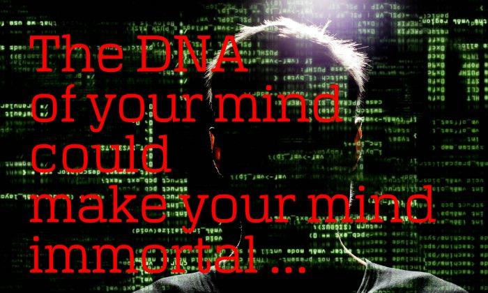 What Is the DNA of Your Mind?
