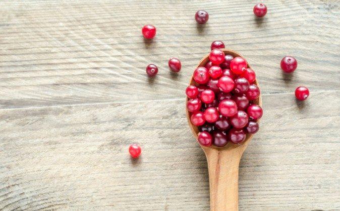 How Cranberries Stop Cancer