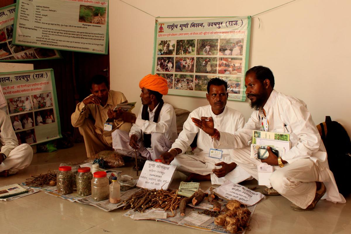 Traditional Indian Doctors Seek Gov’t Recognition for Their Practices