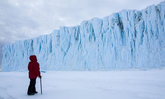 Film Review: ‘Antarctica: A Year on Ice’