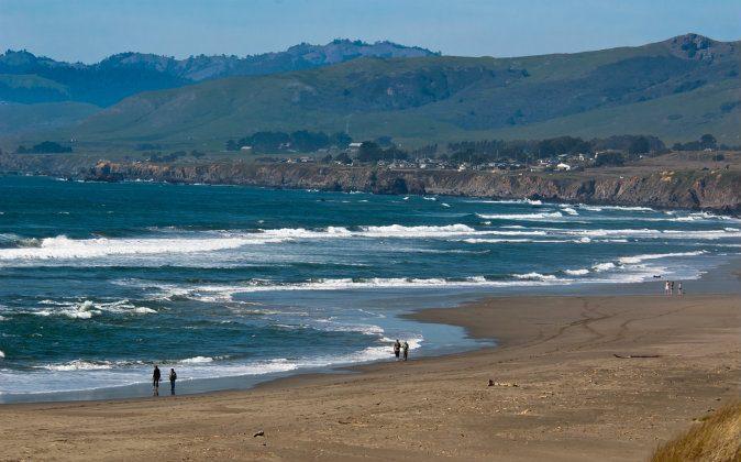5 Experiences Not to Miss in California’s Mendonoma