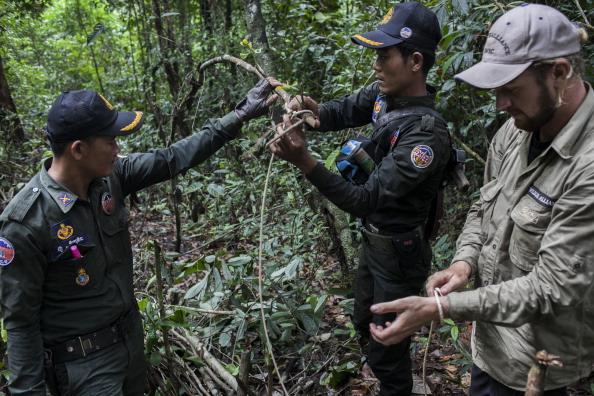 Elephant Pit Traps Still a Danger