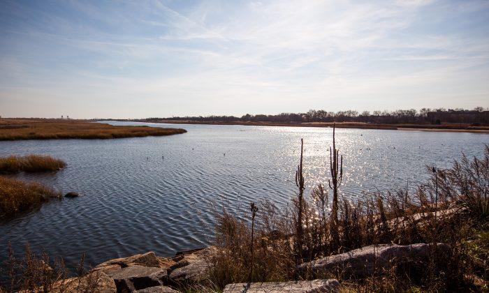 Peace and Quiet After Shopping in Brooklyn? Try Marine Park Salt Marsh
