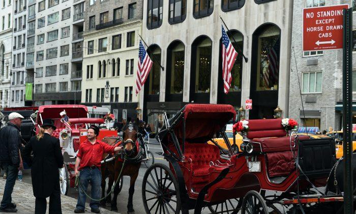 Taxi Workers Oppose Horse Carriage Ban Proposal