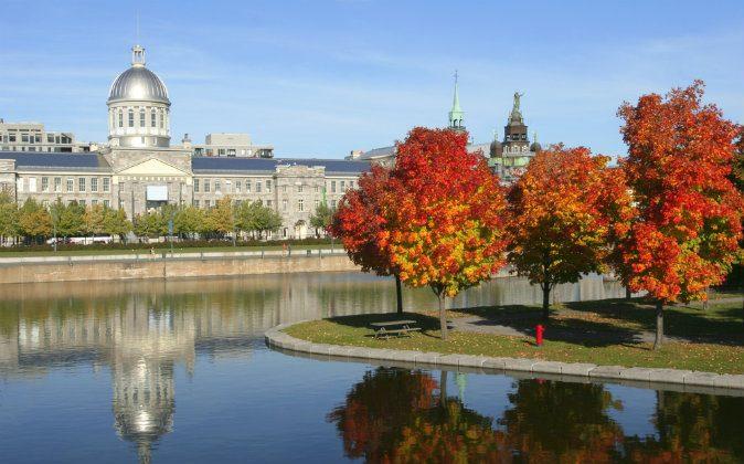 5 Things to Do in Montreal