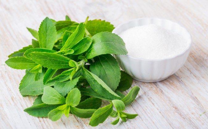 Stevia vs. Splenda - Choosing the Right Sweetener 