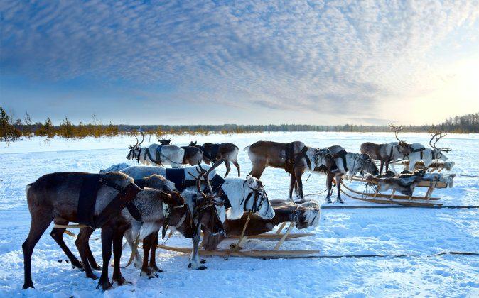 For the Thrills — Getting the Adrenaline Pumping in Lapland