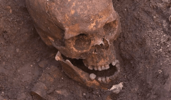 Skeleton Remains Officially Declared to be King Richard III’s (Video)