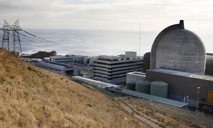 California Nuke Plant Key in Quake Safety Review