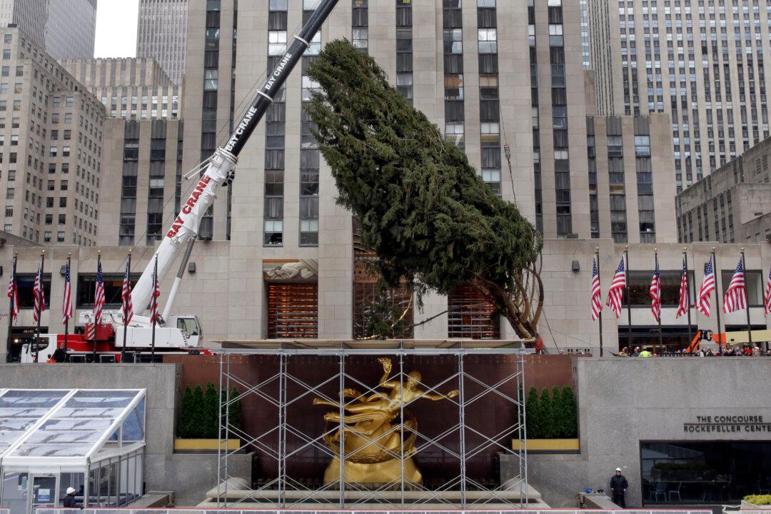 Rockefeller Center Protests: Gretchen Carlson of Fox Slammed for Tree Lighting Ceremony Comment