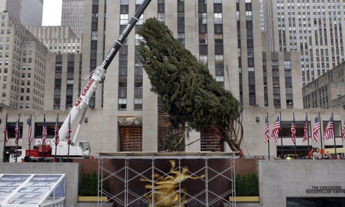 Rockefeller Center Protests: Gretchen Carlson of Fox Slammed for Tree Lighting Ceremony Comment