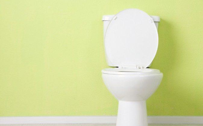 World Toilet Day Highlights Importance of Sanitation in Overcoming Diseases Like Ebola
