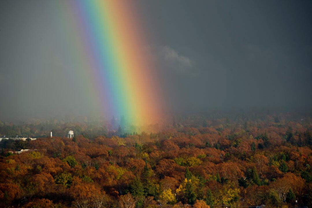 Why Most Rain Falls on the Driest Soil