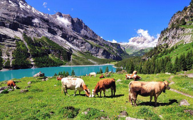 The Best Switzerland Attractions to See on Your Holiday