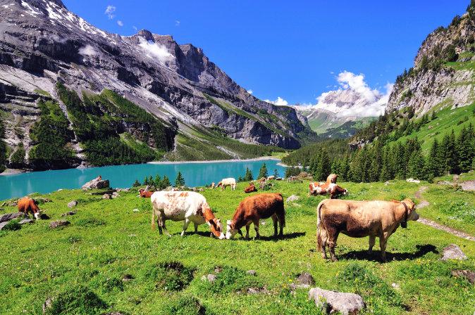 The Best Switzerland Attractions to See on Your Holiday