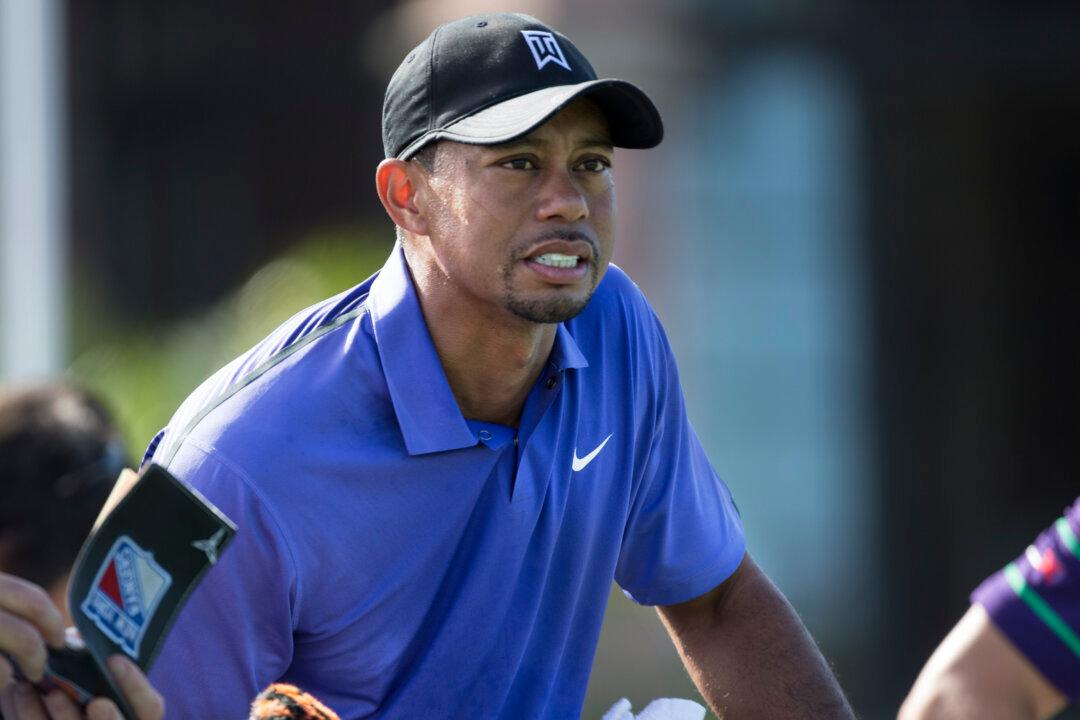 Tiger’s Passion? Punt or Play in 2015?