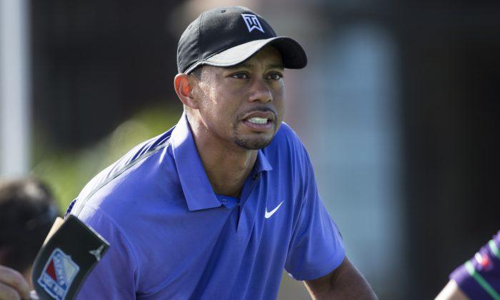 Tiger’s Passion? Punt or Play in 2015?