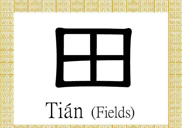 Chinese Character for Fields: Tián (田)