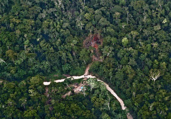 Deforestation Threatens Forest Dependent People Too