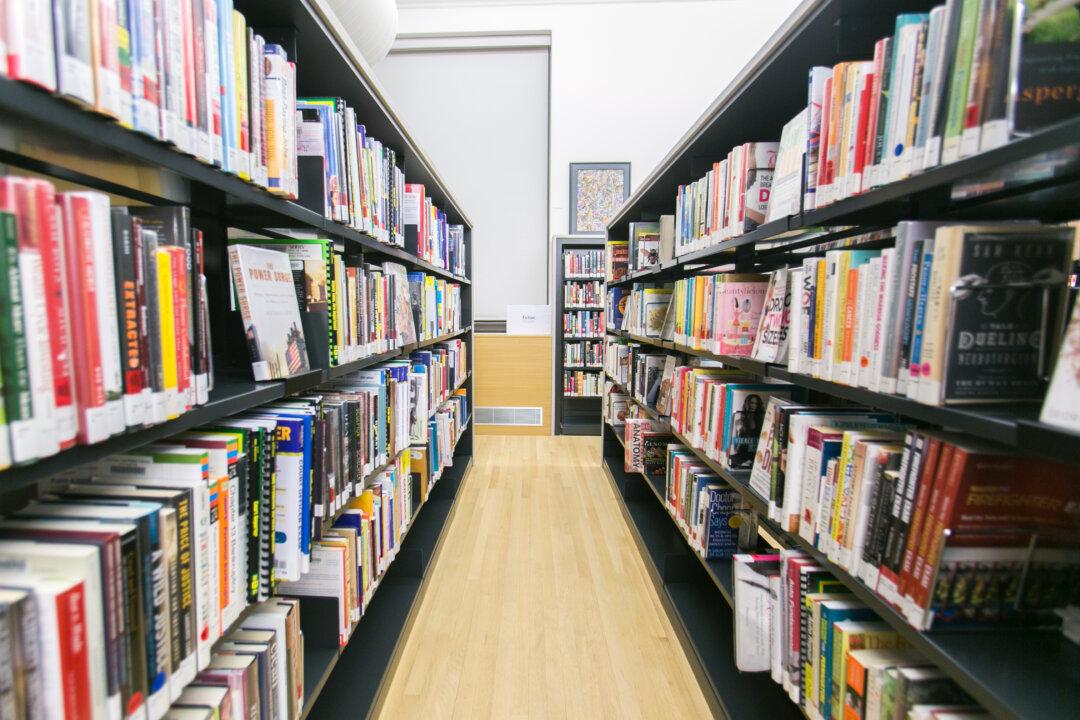 The Calamity of the Disappearing School Libraries