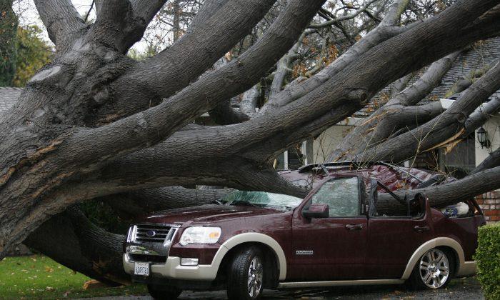 California Whacked by ‘Pineapple Express’ Storm