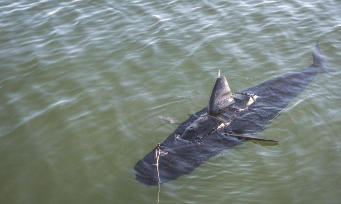 ‘Shark’ Drone: New Ghostswimmer Unveiled by Navy, Has Shark-Like Fins