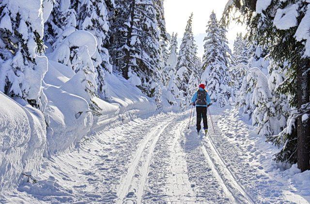 Top 19 Places in Canada for Cross-country Skiing 