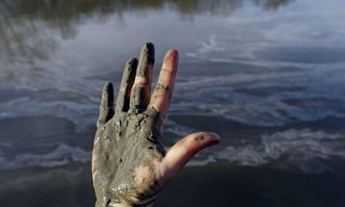 Coal Ash Considered Hazardous Waste by Environmentalists, Harmless by EPA