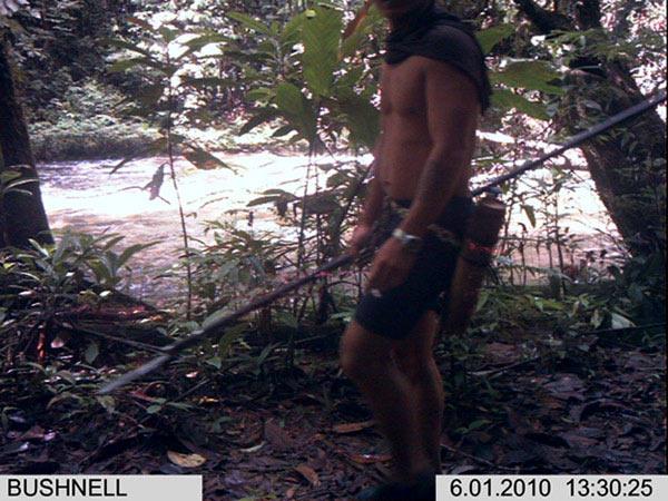 Hunting a Greater Threat Than Logging in Borneo