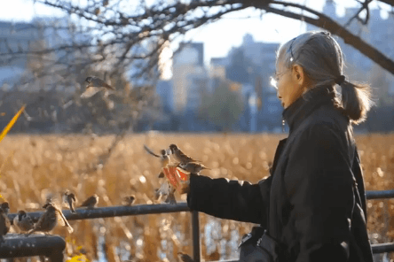 Research Shows Same Genes Control Speech in Humans and Birds (Video)