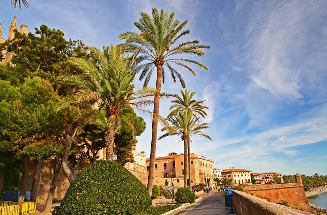 Majorca - Beyond the Beaches and Resorts